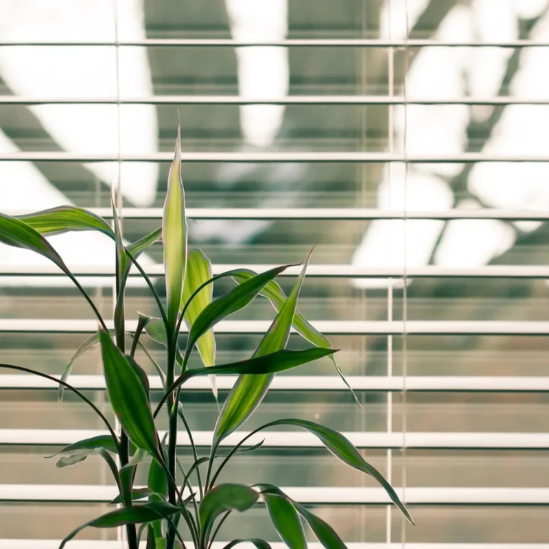 white-blinds-in-window-format.500x500