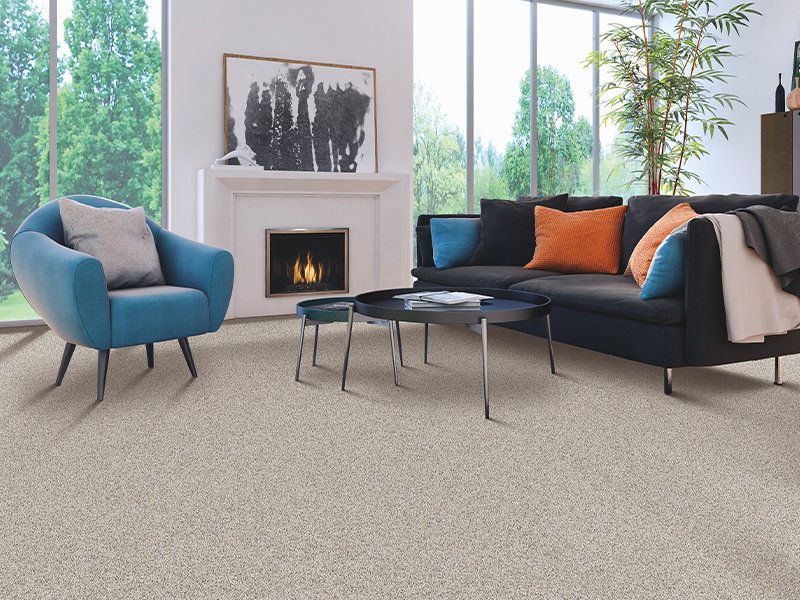 Four things to understand when shopping for the perfect carpet
